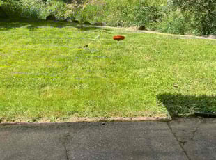 Tamara W.'s Lawn Service service result
