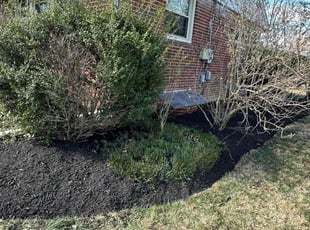 Mulching by Fidel Rodriguez for Michelle G. in Springfield, VA