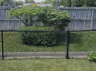 Bush Trimming by James Corbin for Frank T. in Greenwood, IN