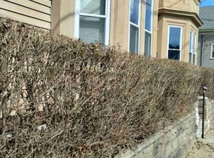Cleanups by Steven Gober for Adrian M. in Woonsocket, RI