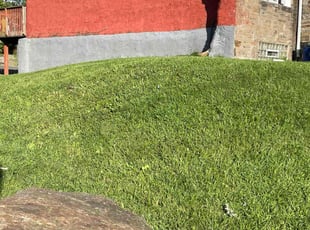Diane H.'s Lawn Mowing service result