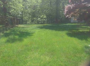 Weeding by Sah6 Ha for Adrian R. in Capitol Heights, MD