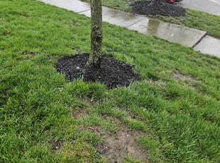Mulching by Leroy Green II for Victor F. in Westerville, OH
