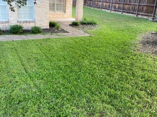 Chris B.'s Lawn Mowing Service service result