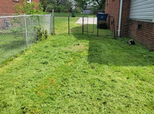 Jenna C.'s Yard Cutting service result