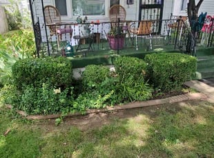 Bush Trimming by Leron Hudson for Patricia M. in Louisville, KY