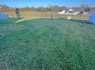 Derik W.'s Lawn Care service result