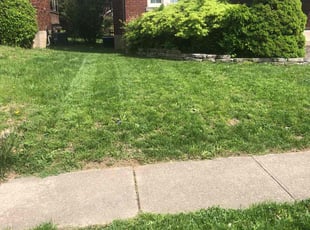 Cleanups by Kareem Bonner for Mark D. in Cincinnati, OH