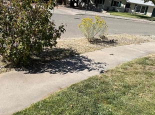 Cleanups by Manuel Lucero for Melissa J. in Albuquerque, NM