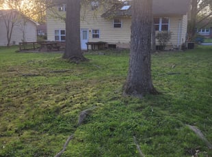 Bush Trimming by Sevriano Seda for Andrew J. in Newark, DE
