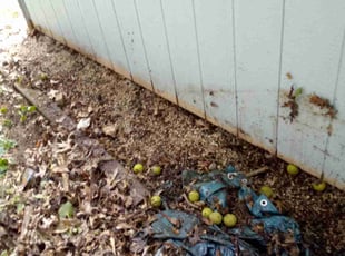 Cleanups by Shawn Hochstetler for Breanna E. in Massillon, OH