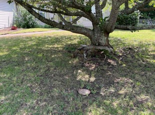 Cleanups by Steven Gray for Kiumars A. in Hampton, VA