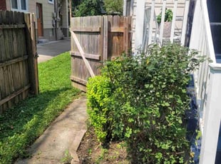 Bush Trimming by Lawrence Tischler for Brooke M. in Cincinnati, OH