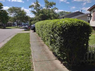 Bush Trimming by Daniel Bunch for Myla H. in Columbus, OH
