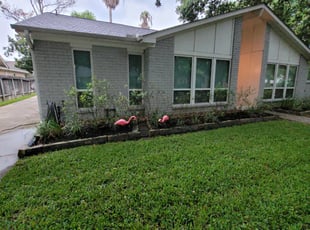Cleanups by Hugo Melgar for Jessica S. in Houston, TX