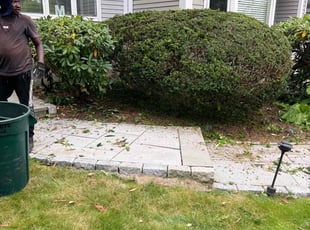 Bush Trimming by Jeanrenald Limage for Philip B. in Brookline, MA
