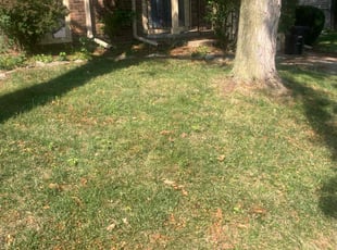 Cleanups by Joe Strese for Shelly O. in Omaha, NE