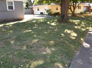 Cleanups by Tevin Marlow for Diana D. in Louisville, KY