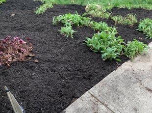 Mulching by Diangelio Lipsey for Leah A. in Reynoldsburg, OH