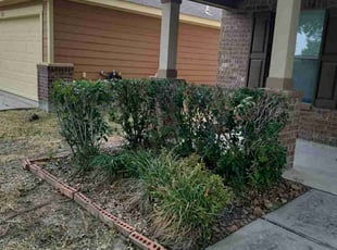 Bush Trimming by Jesus Fortanel for Denisha N. in Houston, TX