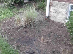 Weeding by Caleb Patton for John L. in Cincinnati, OH