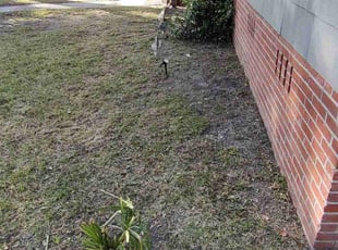 Leaf Removal by Bob Dasher for Christine B. in Beaufort, SC