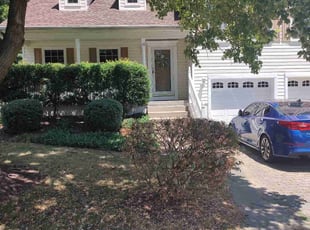 Lotanna O.'s Lawn Mowing service result