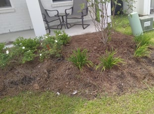 Weeding by Daron Doyle for Chase T. in Baton Rouge, LA