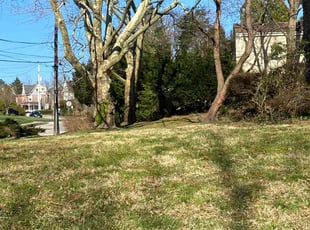 Leaf Removal by Moreno Santiago for Ajay P. in Elkins Park, PA