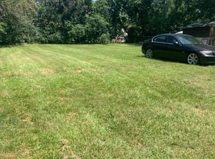 Roger W.'s Lawn Service service result
