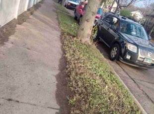 Leaf Removal by Tim Martin for Jack B. in Minneapolis, MN