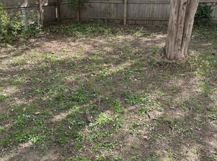 Cleanups by Tim Kirkpatrick for Brian S. in Blue Springs, MO