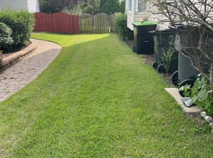 Abdulmalik F.'s Lawn Mowing Service service result