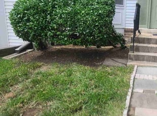Cleanups by Rose Valle for Shannon L. in Woodbridge, VA