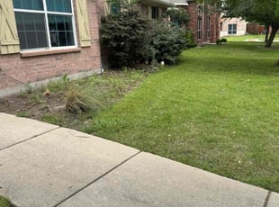 Weeding by Quentin Morgan for Timothy D. in Frisco, TX