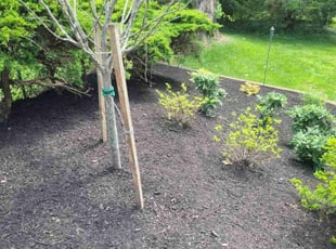 Mulching by Rose Valle for Samantha S. in Fairfax, VA