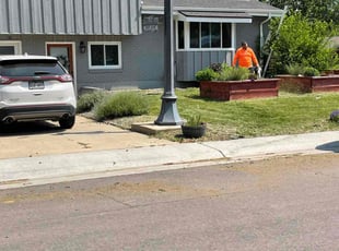Cleanups by Tony Roma for Aimee E. in Arvada, CO