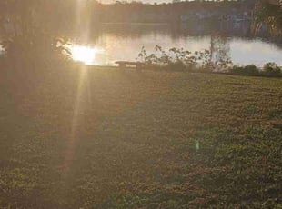 Doug L.'s Lawn Care service result