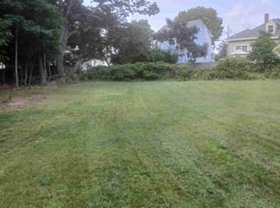 Danielle H.'s Yard Cutting service result