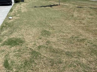 Justin V.'s Lawn Service service result