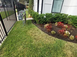 Bush Trimming by Francisco Prado for James M. in Houston, TX