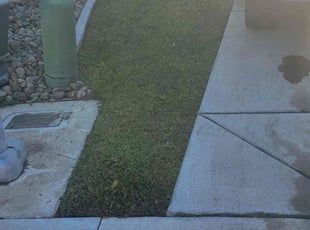 Bush Trimming by Juan Martinez for Hali W. in Lathrop, CA