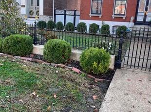 Bush Trimming by Mike Cebulski for Brittany E. in St. Louis, MO
