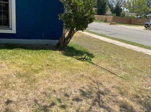 Bush Trimming by Hector Espinosa for John D. in Austin, TX