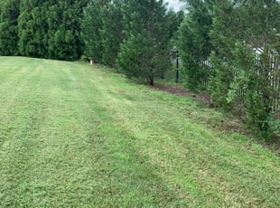 Weeding by Dylan Jones for Shahida C. in Glen Allen, VA