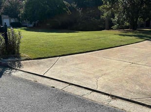 Muriel V.'s Lawn Care service result