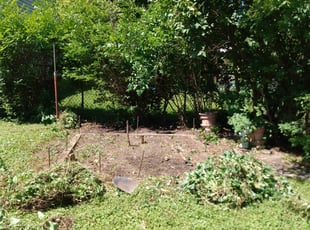 Weeding by Charles Cowan for Matt S. in West Allis, WI