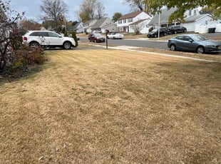 Leaf Removal by William Peterson for April B. in Willingboro, NJ