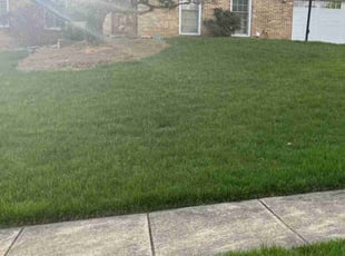 Brian P.'s Grass Cutting service result