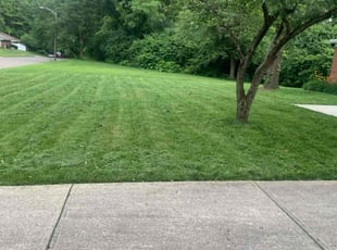 Erik J.'s Lawn Care service result